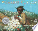 Working Cotton cover