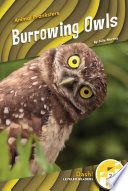 Burrowing Owls cover