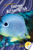 Foureye Butterflyfish cover