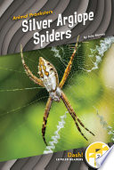 Silver Argiope Spiders cover