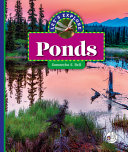 Let's Explore Ponds cover