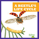A Beetle's Life Cycle cover