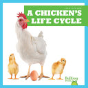 A Chicken's Life Cycle cover