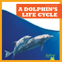 A Dolphin's Life Cycle cover