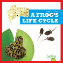 A Frog's Life Cycle cover