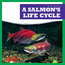 A Salmon's Life Cycle cover
