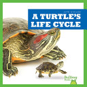 A Turtle's Life Cycle cover