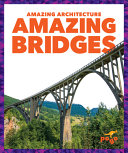 Amazing Bridges cover