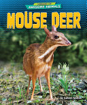 Mouse Deer cover