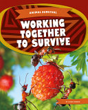 Working Together to Survive cover