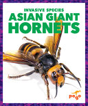 Asian Giant Hornets cover