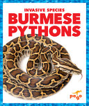 Burmese Pythons cover