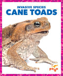 Cane Toads cover