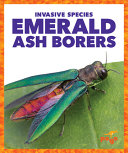 Emerald Ash Borers cover