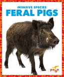 Feral Pigs cover