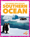 Southern Ocean cover
