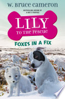 Foxes in a Fix cover