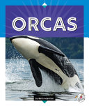 Orcas (Reading Rocks!) cover