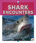 Shark Encounters (Reading Rocks!) cover