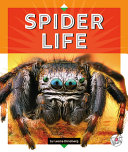 Spider Life (Reading Rocks!) cover