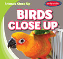 Birds Close Up cover