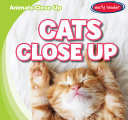 Cats Close Up cover