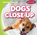 Dogs Close Up cover
