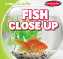 Fish Close Up cover