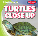 Turtles Close Up cover