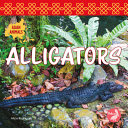 Alligators cover