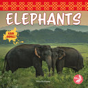 Elephants cover