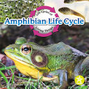 Amphibian Life Cycle cover