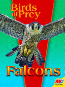 Falcons cover