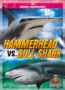 Hammerhead vs. Bull Shark cover