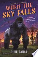 When the Sky Falls cover