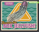 Beware the Box Jellyfish! cover