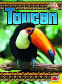 Toucan cover