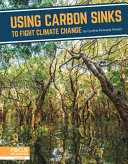 Using Carbon Sinks to Fight Climate Change cover