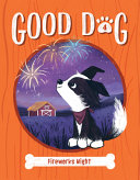 Fireworks Night cover