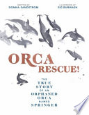Orca Rescue!: The True Story of an Orphaned Orca Named Springer cover