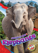 Elephants cover