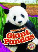 Giant Pandas cover
