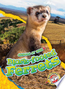 Black-footed Ferrets cover