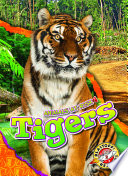 Tigers cover