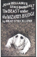 The Beast Under the Wizard's Bridge cover
