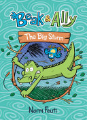 The Big Storm cover