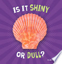 Is It Shiny or Dull? cover