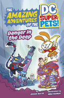 Danger in the Deep cover