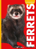 Curious about Ferrets cover