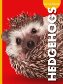 Curious about Hedgehogs cover